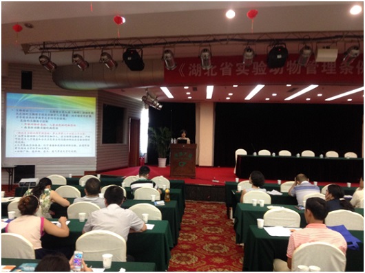 正值《湖北省实验动物管理条例》(以下简称《条例》)省人大立法10周年之际,2015年7月29日,由湖北省实验动物学会承接的《条例》普法宣讲培训科技服务项目在武汉隆重实施。省科技厅条件处魏敏杰处长与胡林副处长、省卫生计生委员科技处张有元副处长亲临培训现场检查与指导培训工作。 本次培训活动的主题是普及、宣传《条例》的核心立法精神,即开展实验动物许可证制度、质量、生物安全及福利伦理专题讲座,培训活动由学会秘书长唐利军研究员主持,中科院武汉病毒所安学芳高级兽医师、省人民医院范明霞高级兽医师等分别作专题报告,来自